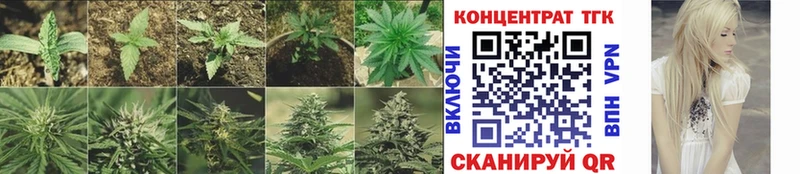 hydra ONION  Тбилисская  ТГК вейп 